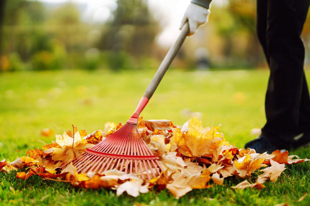 Maintenance raking leaves at rental property